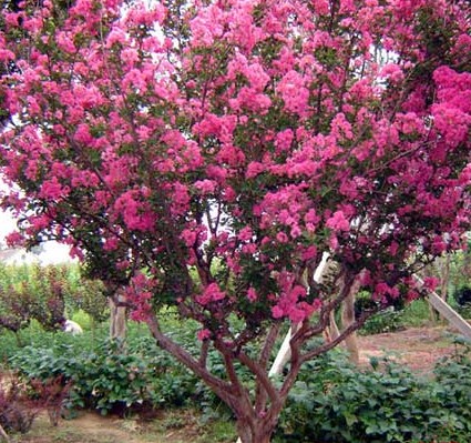 東莞不銹鋼的材質(zhì)分類是什么