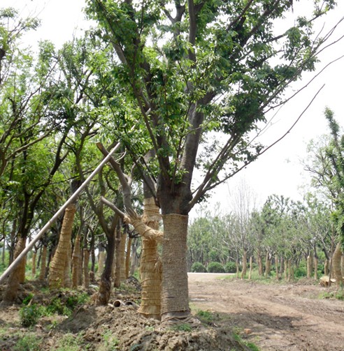 嘉興耐熱鋼配件都有哪些組成