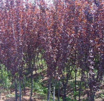 東莞304不銹鋼配件